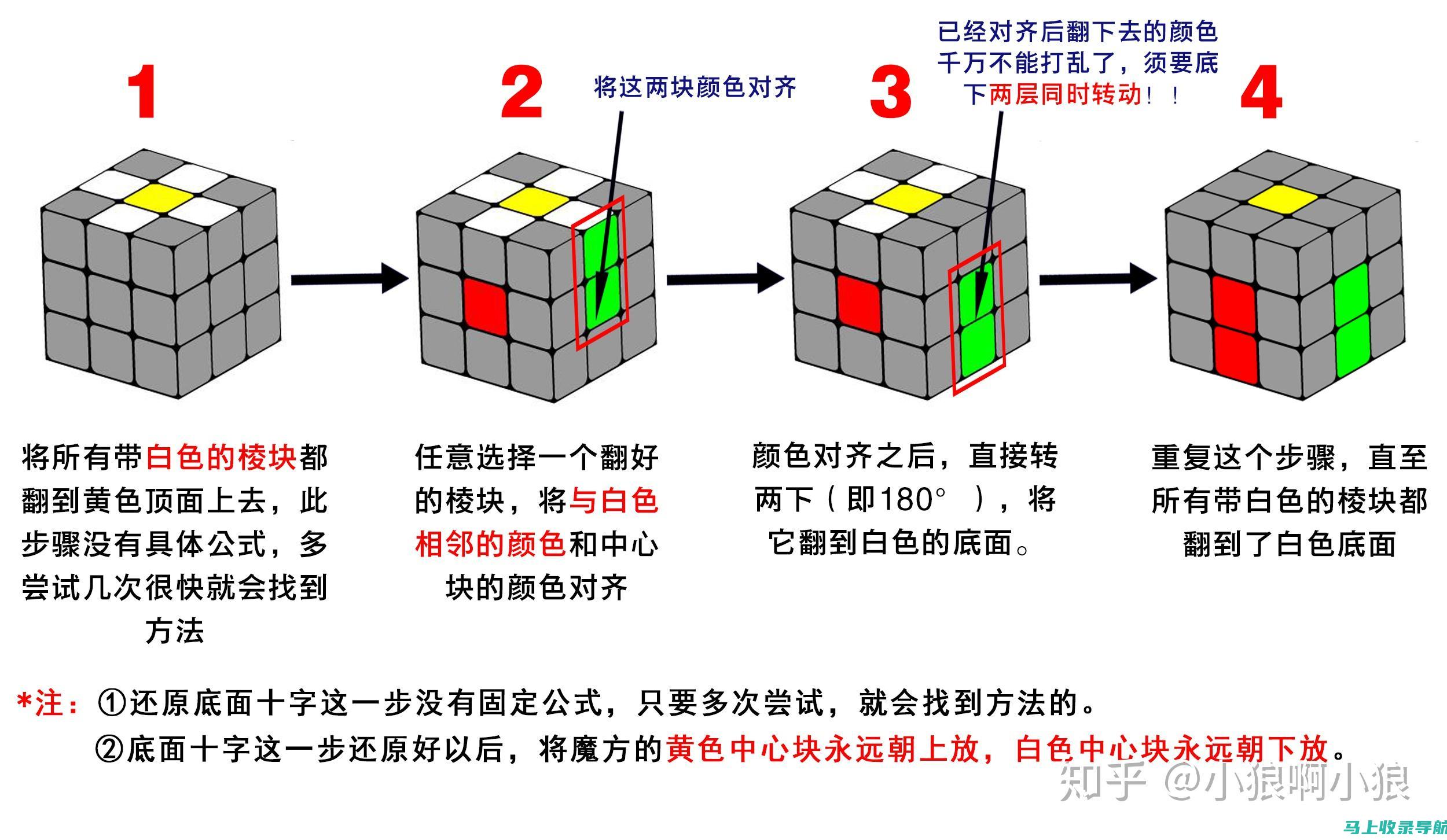 新手如何入门成为站长：实用教程与技巧分享